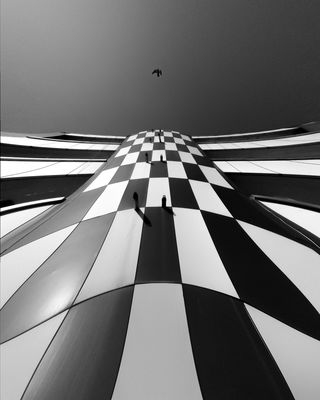 bird / Fine Art  photography by Photographer keyhan | STRKNG