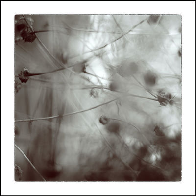 Haiku / Fine Art  Fotografie von Fotograf Herbert Thomas Hesse ★1 | STRKNG