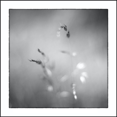 Haiku / Fine Art  Fotografie von Fotograf Herbert Thomas Hesse ★1 | STRKNG