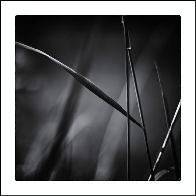 Fine Art  Fotografie von Fotograf Herbert Thomas Hesse | STRKNG