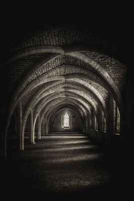 Fountains Abbey - Infrared / Alternative Process  photography by Photographer Dan Matthews ★2 | STRKNG