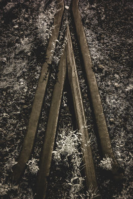 Mine Rails - Infrared / 2024-08-24 Mine Rails - Infrared / Alternative Process photography by Photographer Dan Matthews ★6 | STRKNG