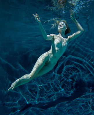 Alaina Underwater / Nude  Fotografie von Fotograf Dan Katz ★1 | STRKNG