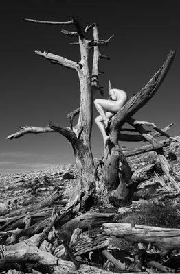 M / Fine Art  Fotografie von Fotograf TOMASRUCKER.com ★8 | STRKNG