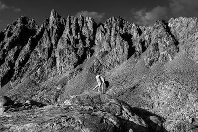 Meet me at 12,000 ft I / Fine Art  Fotografie von Fotograf Artsy AF Photography ★5 | STRKNG