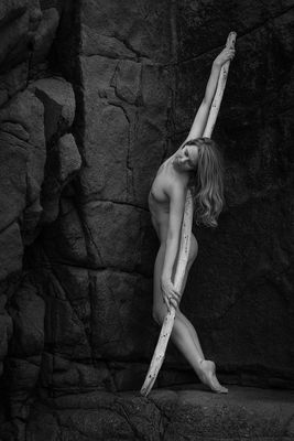 Driftwood / Nude  Fotografie von Fotograf Anthony Palmowski | STRKNG