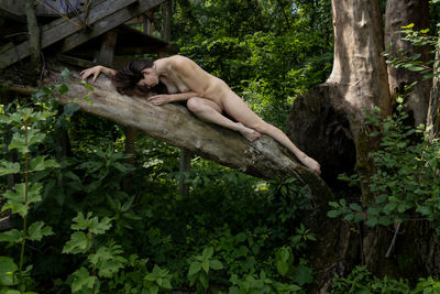 Jay Ban sur le tronc d&#039;arbre / Natur  Fotografie von Fotograf Claude Frenette | STRKNG