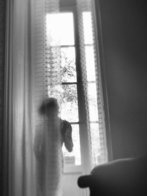 Falene / Black and White  photography by Photographer sara cattaneo | STRKNG