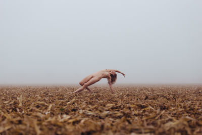 fieldwork / Nude  Fotografie von Fotograf Daniel Pufe ★1 | STRKNG