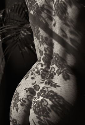 Dappled Sunlight / Fine Art  photography by Photographer James Johnson | STRKNG