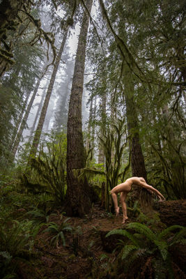 Grow / 2023-09-23 Grow / Fine Art Fotografie von Fotograf Portrait of Adventure | STRKNG