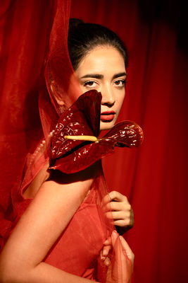 Veiled in Red / Fine Art  Fotografie von Fotografin Maryam Mokarram | STRKNG