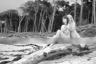 » #6/7 « / Darßer Weststrand / Photo Location by <a href="https://strkng.com/en/photographer/dieterkit/">Photographer dieterkit</a>