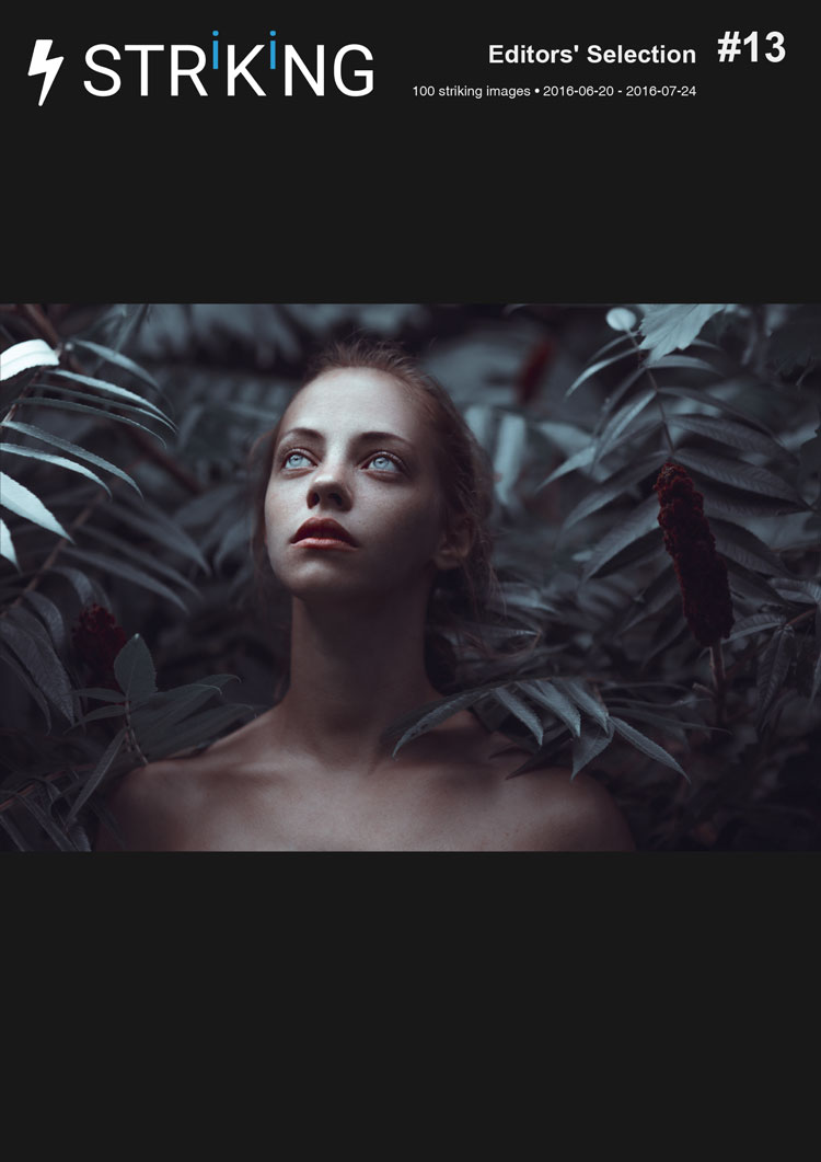 STRKNG Editors' Selection - #13